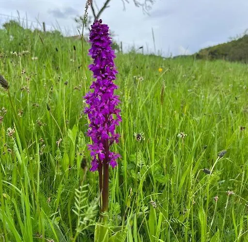 샬레 3 Etoiles A Gerardmer. *