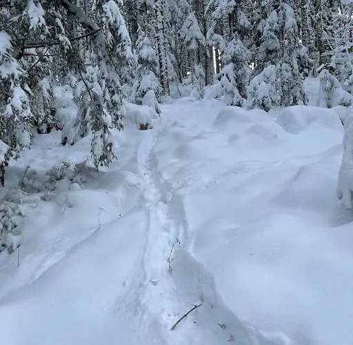 3 Etoiles A Gerardmer. *
