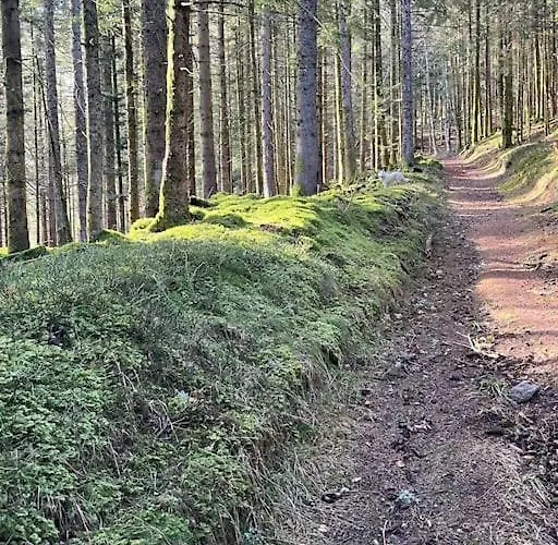 3 Etoiles A Gerardmer. * 제라르메르