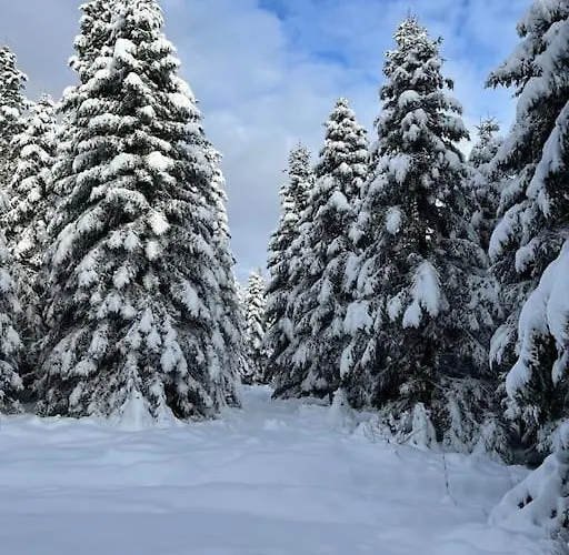 3 Etoiles A Gerardmer. 샬레