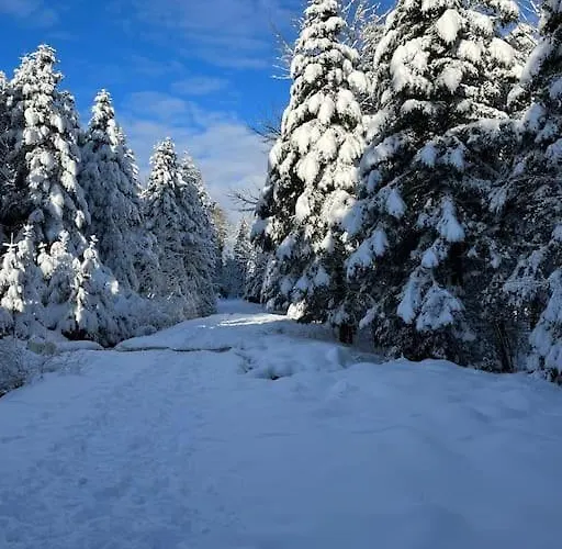 3 Etoiles A Gerardmer. * 제라르메르