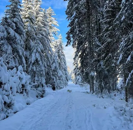 샬레 3 Etoiles A Gerardmer.