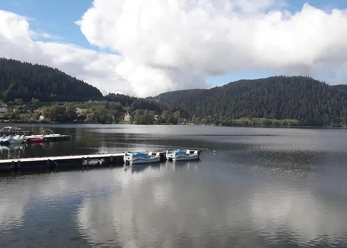 샬레 3 Etoiles A Gerardmer. *