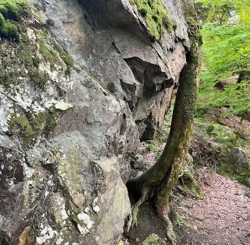 3 Etoiles A Gerardmer. 샬레 제라르메르