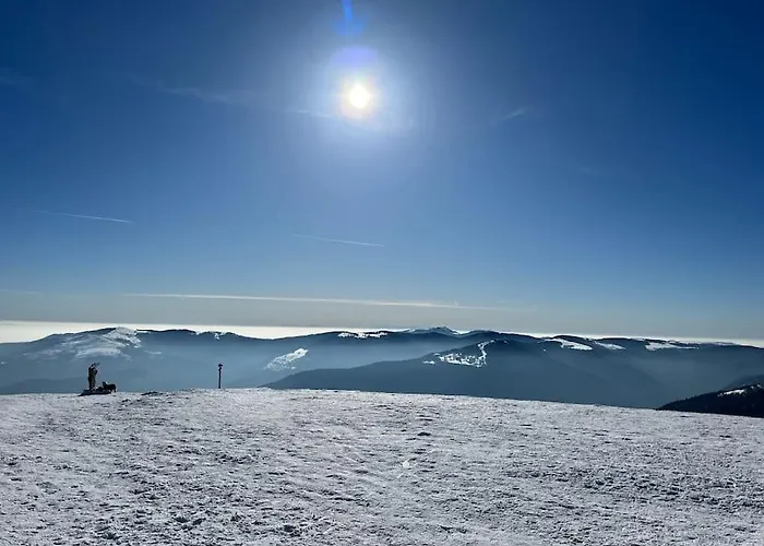 3 Etoiles A Gerardmer.
